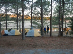 Scout's Camping at Shady Pines